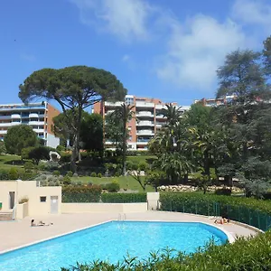 Les Palmiers - Cote D'azur , Cannes France